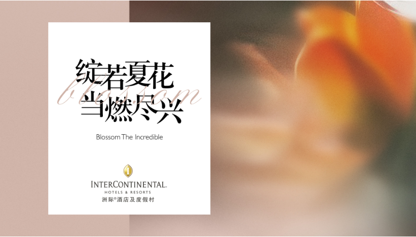 1756219145380475.jpg 洲际酒店及度假村以“绽若夏花 当燃尽兴”缔造旅途中的非凡时刻.jpg