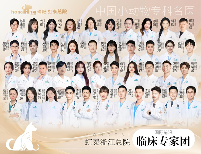 图片12_副本.png