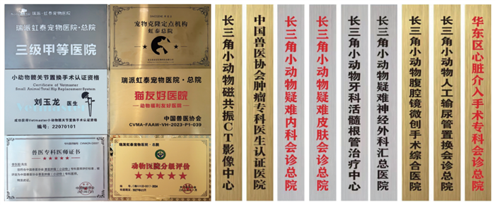 图片13_副本.png